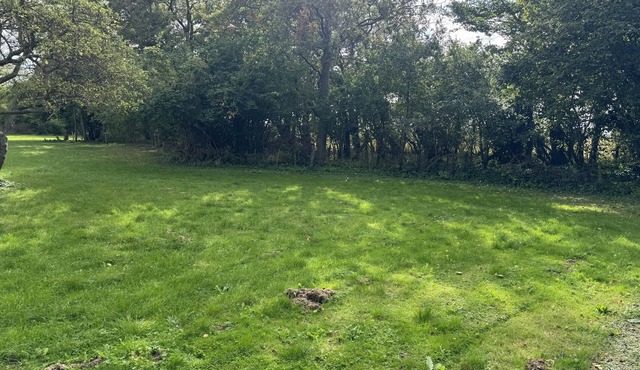 Super charming holiday home with space for 10 people and a huge plot.