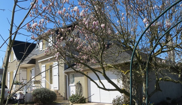 Super comfortable villa with heated pool near Mont Saint Michel.