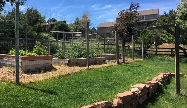 Super cute 500 ft2 basement apartment. Pet friendly for well behaved pets.