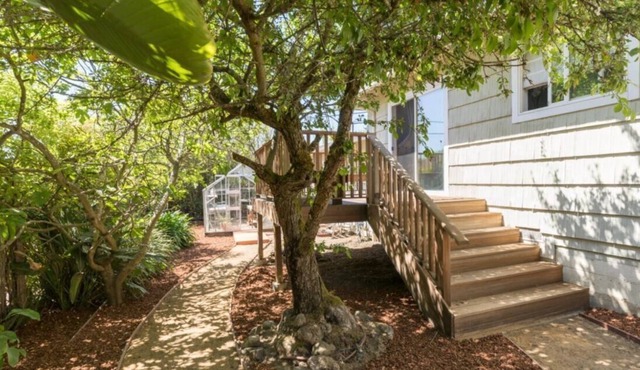 Super Cute Cottage with large, private front and rear yards