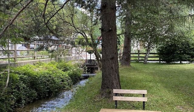 Super Cycle/ski Studio, bike storage, garden, WiFi, great location in Allemond