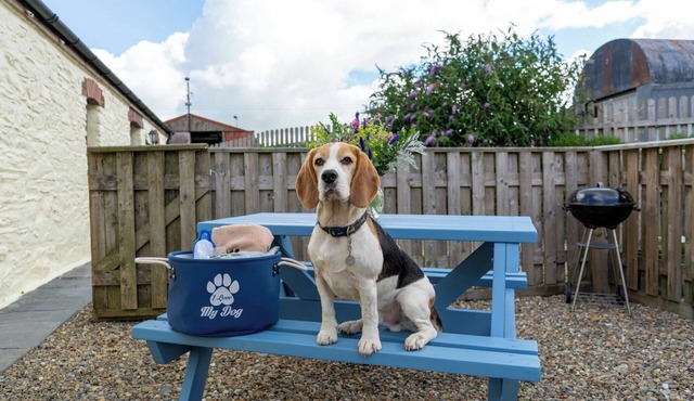 Super dog friendly barn conversion - sleeps 6 plus unlimited dogs