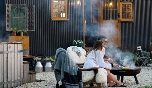 Super luxury, designer 22' Shepherd's Hut + HotTub