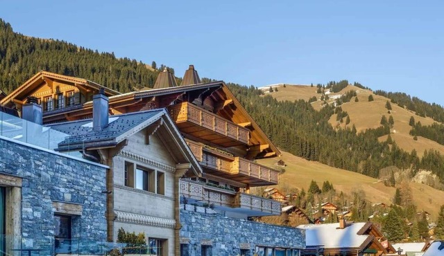 Super Luxury Serviced Apartment next to Gstaad