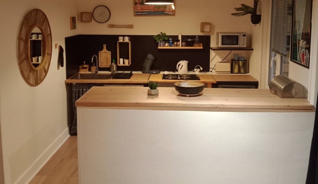 Super studio on garden level