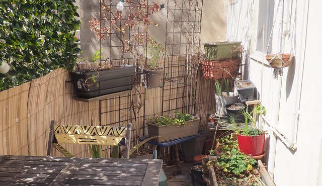 Super T3 with terrace near Palais Longchamp