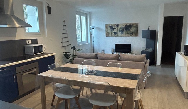 Superb 2 bedroom, 2 bathroom apartment 8kms from Ax les thermes