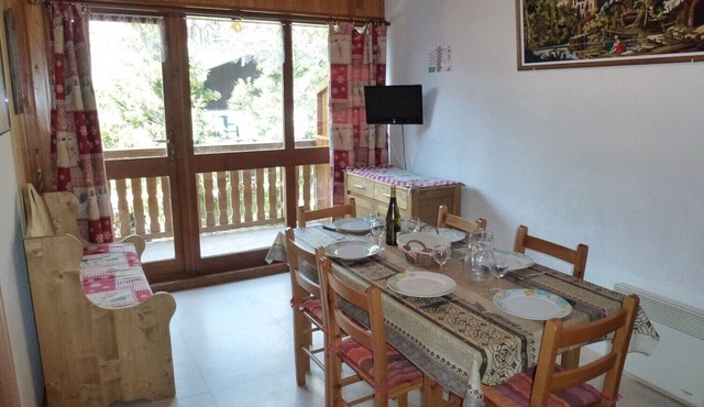 Superb 2 room apartment (1 bedroom) + mezzanine . at the foot of the slopes!