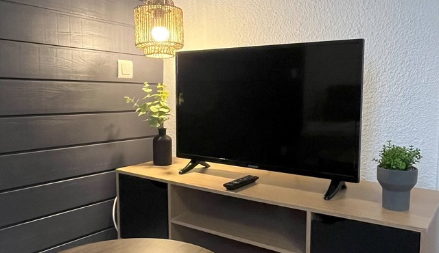 Superb 2-room apartment with mountain views and indoor pool