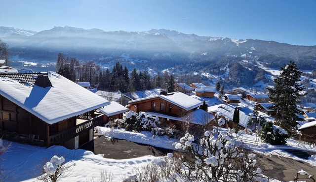 Superb 68m2 south-facing apartment overlooking the Grand Massif mountains