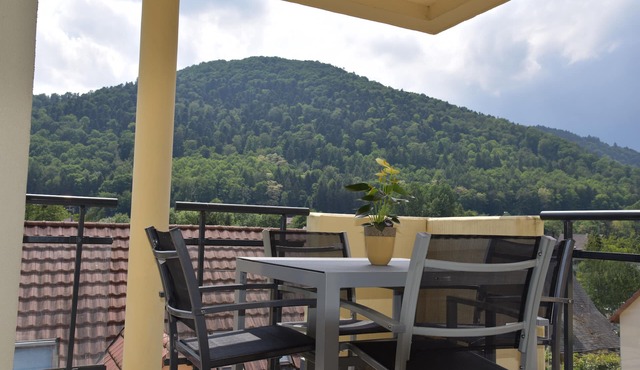 Superb apartment in a quiet residence with mountain views