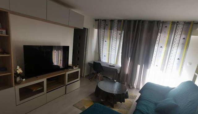 SUPERB APARTMENT NEAR PARIS