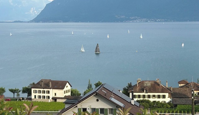 Superb apartment in Cully with lake view.