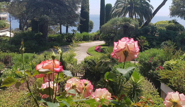 Superb apartment completely renovated with views and direct access to the sea!