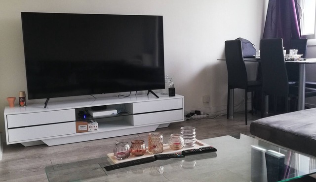 Superb apartment in the heart of PAU