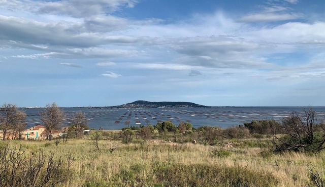 Superb apartment surrounded by nature on the Hauts de Bouzigues