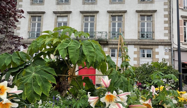 Superb apartment with full view of Morlaix harbour