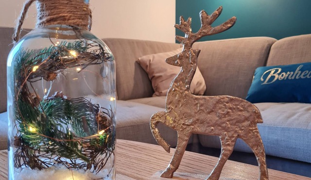 Superb apartment with jacuzzi