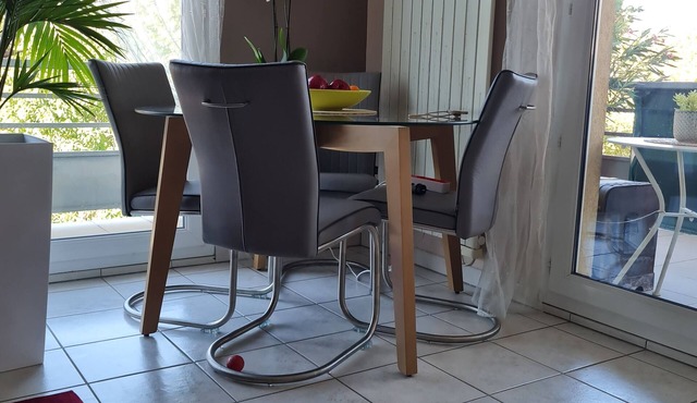 Superb APPARTEMENT 2 Pers/180° mountain view/Commanderie Échirolles