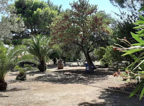 Superb architect villa 230m2 near beach south France in Salses-le-Chateau