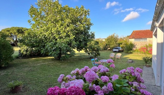 Superb beachfront home! Super large flowery garden direct to the beach