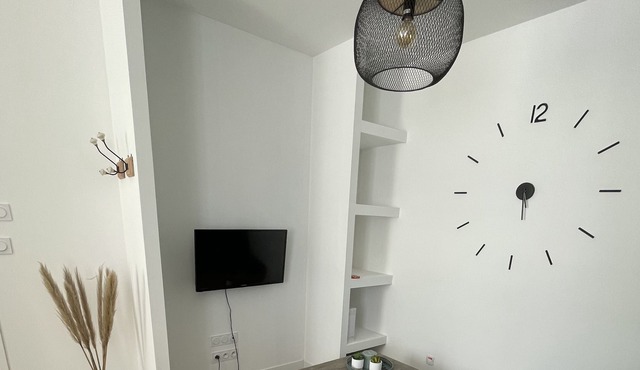 Superb chic modern apartment