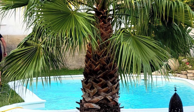 Superb, comfortable villa with swimming pool