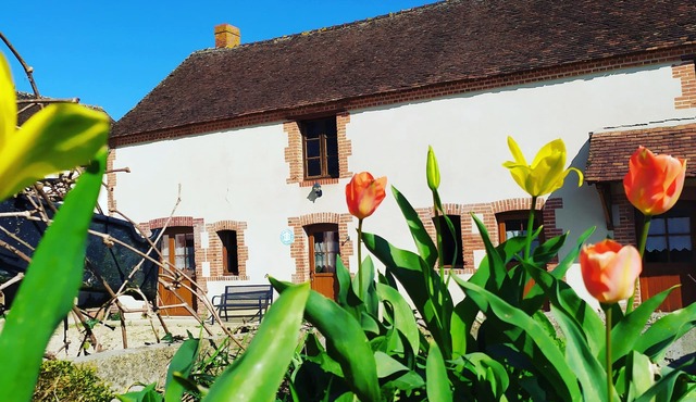 Superb longère for 6 people with swimming pool near Beauval, Loire castles