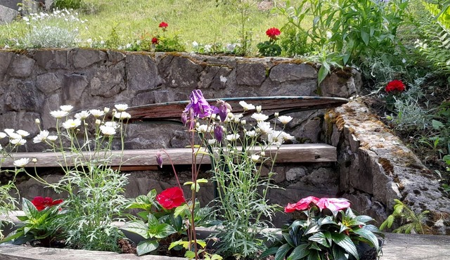 Superb mountain chalet overlooking lake leman