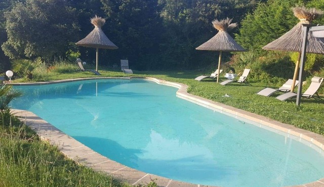 Superb Provencal farmhouse on the hillside