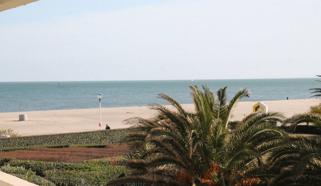 Superb renovated apartment of 45 m2 on the seafront with large terrace
