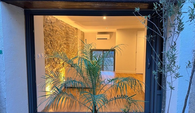 Superb renovated studio in medieval house with terrace and view of Thau lagoon