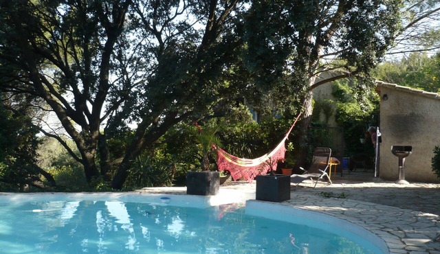 Superb single house on a hill facing the Palais des Papes