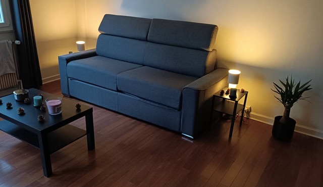 Superb studio in Lyon 3 with sofa bed 160x200 cm bedroom and balcony