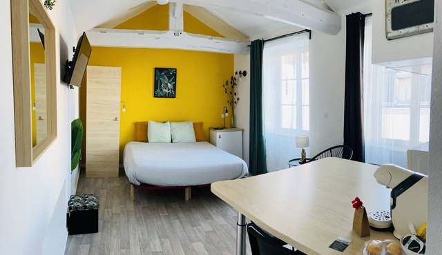 Superb studio jungle downtown Gannat.