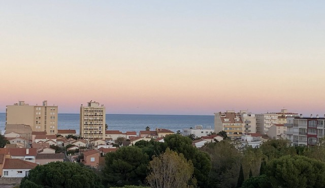 Superb T1, standing, luxurious and very comfortable, on the port of Canet Plage