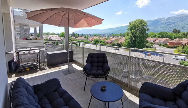 Superb T3 apartment near Geneva / Ski resort