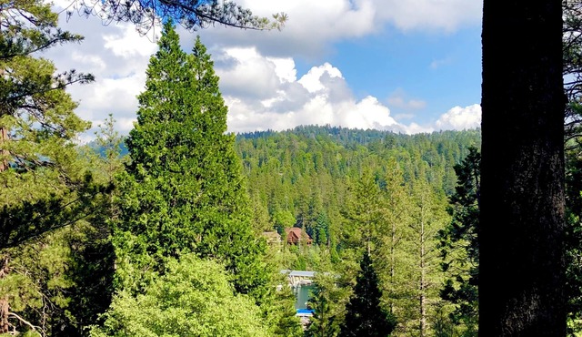 Superb treetop cabin with Blue Jay Bay view and WiFi in Lake Arrowhead