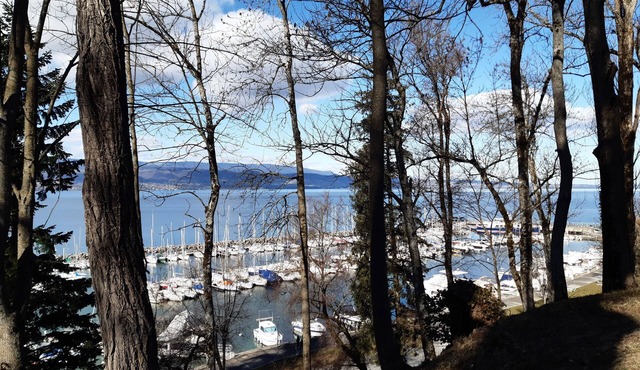 Superb villa, 4 stars, swimming pool, 500m from the lake