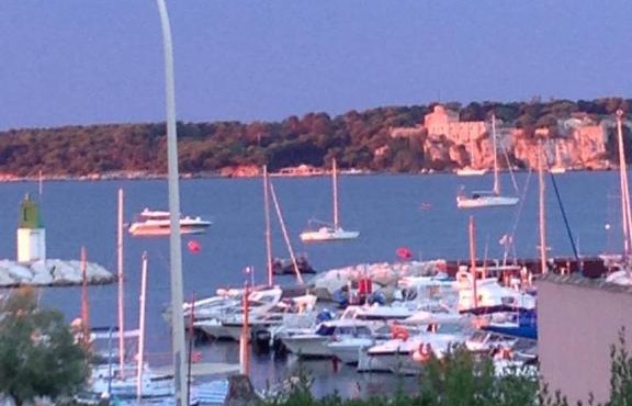 Superb Villa Cannes Palm Beach