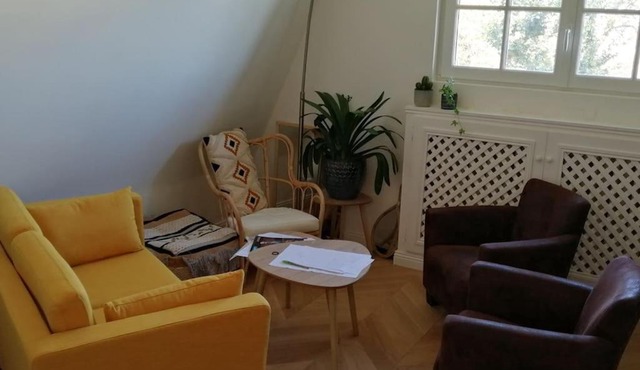 Superbe appartement vu sur paris parking gratuit