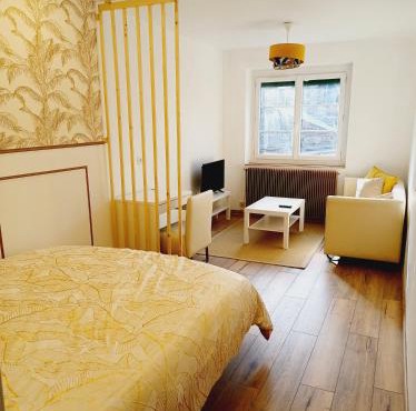 Superbe Appartement en plein centre-ville de Crépy