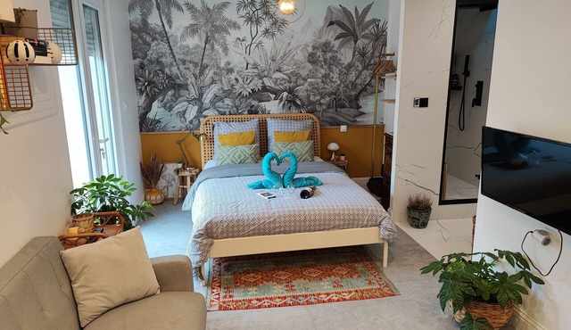 Superbe appartement avec jacuzzi avec jardin privé