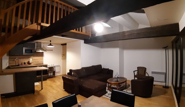 Superbe Appt Atypique Classé 4 Étoiles 65 m2 Hyper Centre Albi