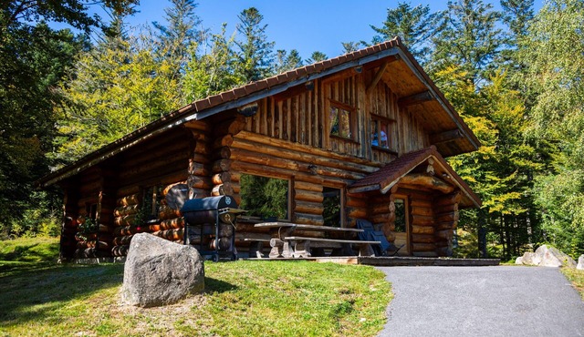 Superbe chalet rondins de 150 m² au cœur des Vosges, sauna, wifi, groupe, famille