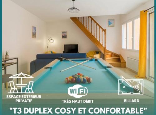 Superbe Duplex au cœur de la vallée d'Ossau