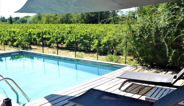 Superbe mas Avec Piscine en Pierre au Milieu des Vignes Dans Domaine Viticole