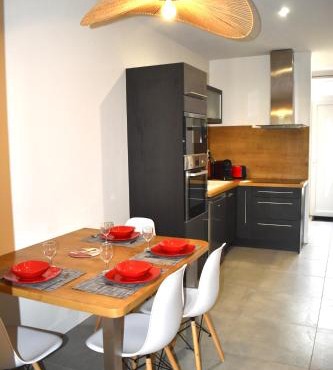 Superbe T2 climatisé avec patio et jardin