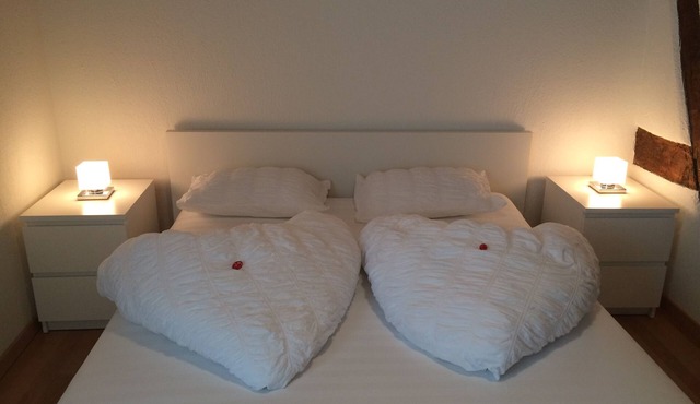 Superior Family Apartment in old house built in 1707