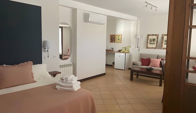 Superior Studio 'Biblioteca' with Terrace, Wi-Fi and Air Conditioning